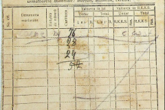 241