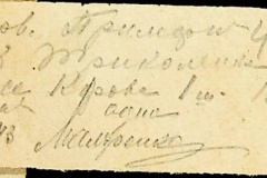 241