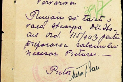 241