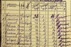 241