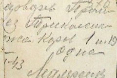 241