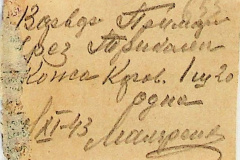 241