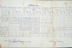 241