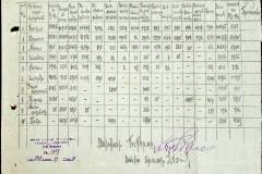 241