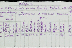 241