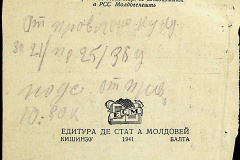 241