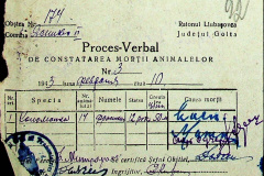 241