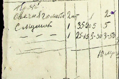 241