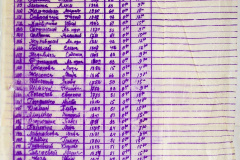 241