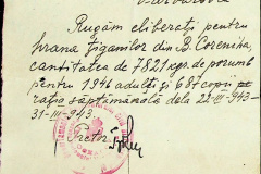 241