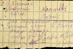 241