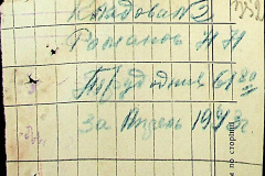 241