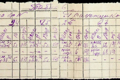 241