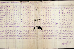 241