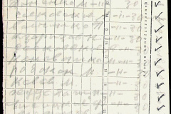 241