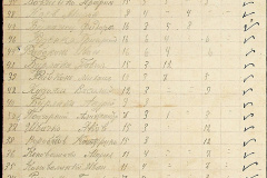 241
