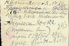 241