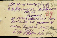 241
