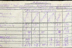 241
