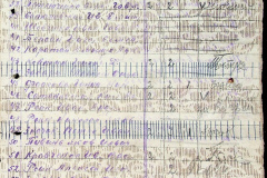 241