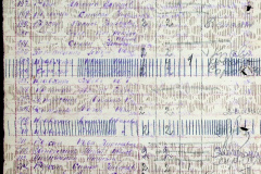 241