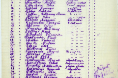 241