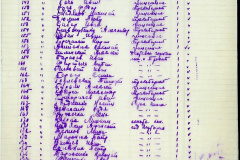 241