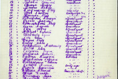 241