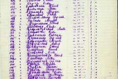 241