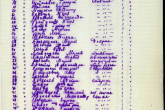 241
