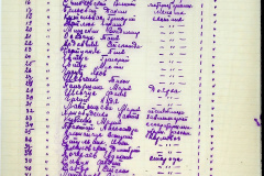 241