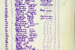 241