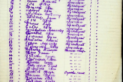 241