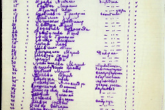 241