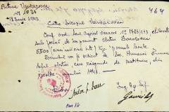 241