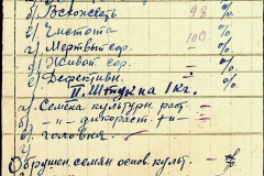 241