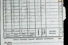 241