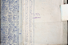 241
