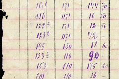 241