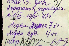 241