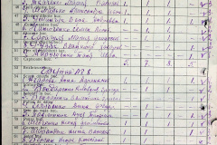 241