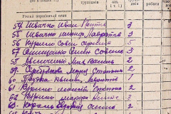 241
