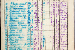 241