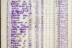 241