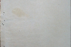 241