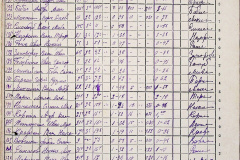 241