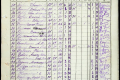 241