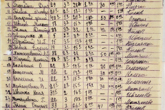 241