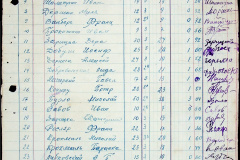 241