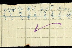 241